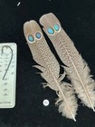 Grey Peacock Pheasant  Double  Eye Tail Feathers   57