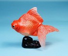 Kaiyodo Animatales Pet Part 3 Telescope Goldfish Red Mini Figure Us Seller
