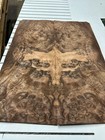 Walnut Burl Raw Wood Veneer 2 Sheets 25   X 10   319e