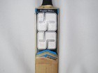 Sunridges Ss Ton English Willow Cricket Bat - Size 5