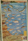 Vintage Blatz Beer Poster Fishes Of The Great Lakes Heileman Brewing 1991  Clean