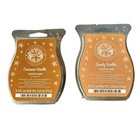 Scentsy Set Of 2 Cinnamon Vanilla And Simply Vanilla Bar Wax Melts 3 2oz Retired