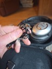 Bose Qc15 Quiet Comfort 15 Noise Cancel Headphones - Black W Case