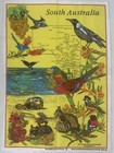 South Australia Souvenir Map Tea Towel Birds Kangaroo Map Birds Animal