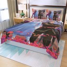 Disney Snow Queen Movies Print Duvet Cover Set  3pcs  Quilt Cover   Pillowcase