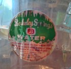 Borden Polar Water Glass 5 Gallon Water Bottle Great Shape