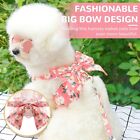 Breathable Dog Harness And Leash Set With D-ring Soft Mesh For Girl Dogs   xs   