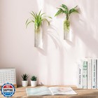 Mkono Propagation Station Wall Planter Hanging Glass Tubes Flower Vase For Hy