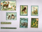 Snippets Graphic45 Woodland Friends  15pc  Mini Hand-cut Ephemera