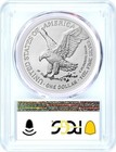 2025  p   1 1 Oz Silver Eagle With Eagle Privy Pcgs Ms70 First Strike Flag Label