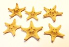 12 X-small Knobby Tan   Brown Starfish 1-2  Natural Beach Wedding Decor Crafts