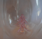Stemless Wine Glass Tumbler With Crystal Pink Christmas Tree Inside New 16 Oz