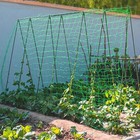 Garden Plant Climbing Trellis Net Nylon Support Netting For Beans Cucumbers Vine