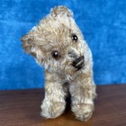 Steiff Jungbaer Bear Cub On All Fours 6  Mohair Glass Eyes 1950-60s Vintage Read