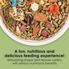 Kaytee Fiesta Guinea Pig Food  Nutritious Blend  25 Pound  pack Of 1   Browns