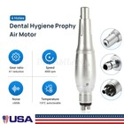 Dental Hygiene Prophy Handpiece Air Motor 4holes 4 1 Nose Cone 360  swivel