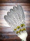Silver Pheasant Native American Smudge Feather Fan Antler