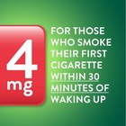 4mg Nicotine Lozenges Mint Flavor 108 Count Stop Smoking Aid Sugar Free Uncoated