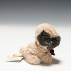 Takenoko Candy Fontaine Pug Plush
