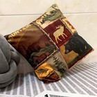 Set Of 2 Square 18x18 Inch Throw Pillow Cover For Women men  Short Plush Pillow