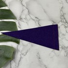 Intercourse Pennsylvania Vintage 50s Pennant Flag Souvenir Mini Purple Amish