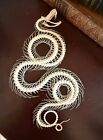 Real Animal Skull - Professional Taxidermy Snake Skeleton For Education   Gifts