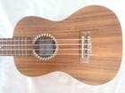 Cordoba 25ck Concert Ukulele  Koa  Gig Bag