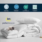Serta Goose Feather Down Fiber Cotton Comforter Queen Size - 100  Cotton Duvet I