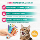 Creamy Lickable Cat Treats   Wet Food Squeeze Tubes     Liquid Kitten Snacks  Urin