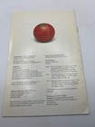 Later Japanese Lacquers Exhibition Booklet Asian Art Museum   Antiques