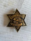 Vintage Wells Fargo Agent Star Badge Pinback Pin