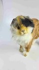 Hansa Plush Cat Betty Alamo Calico Cat 24 