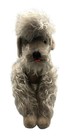 1950s Steiff Poodle Snobby Grey Mohair Jointed 16    Missing Tags Vintage Rare