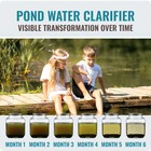 Pond Clear Water Treatment - 16 Pack For 8 Months Of Pond Cleaner Supply - Po   