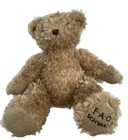 Fao Schwarz Brown Teddy Bear Plush 17    Stuffed 2012 Toys R Us Fao Button