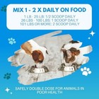 Bovine Colostrum For Dogs  Cats  Puppies  Kittens   Pets - 240g - 480 Servings