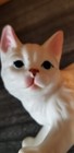 Cat Kitten Figure Figurine Animal Ceramic 3 75 