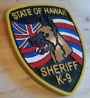 Police Hawaii Sheriff K-9 3d Routed Wood Patch Plaque Sign Custom