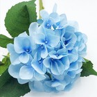 Blue Hydrangea 9  Floral Pick Stem