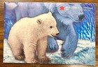 2000 Canada - Official Special Eddition Proof Like Set  7  - Rcm Pkg W Coa