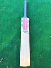 Gray-nicolls Shockwave English Willow Cricket Bat   Big Edges   Pro Performance