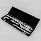 Hot Selling Af301 Alto Flute G Tune 16 Closed Hole Keys Sliver Plated With Case 