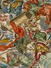 1660 Second Christian Hemisphere - Plate 23 Of The Harmonia Macrocosmica - 20x24