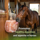 Himalayan Salt Lick Block With Rope 5-6 Lb Multi Pack For Horses   Livestock