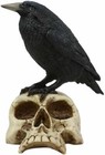 Ebros Gothic Raven Perching On Skull Statue 7 25  High Crow Scavenger Figurine