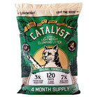 2 Pack Catalyst Pet Softwood Natural Clumping Cat Litter  Original Formula  34lb