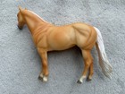 Peter Stone Ideal Stock Horse    abby    Palomino Ish County Fair Sr 20