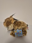 Ganz Webkinz Lynx Hm 610 Rare Stuffed Plush Animal Nwt Sealed Code