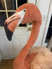 Rare Melissa   Doug Lifelike Plush Flamingo Stuffed Animal  4 5 Feet Tall 