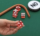 New Craps Dice Stick Set W  5x 19mm Dice   On off Puck Buttons  Casino Grade